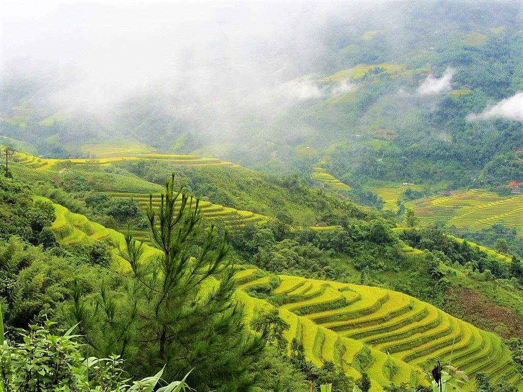 Northern Vietnam Biking Trip 7 Days